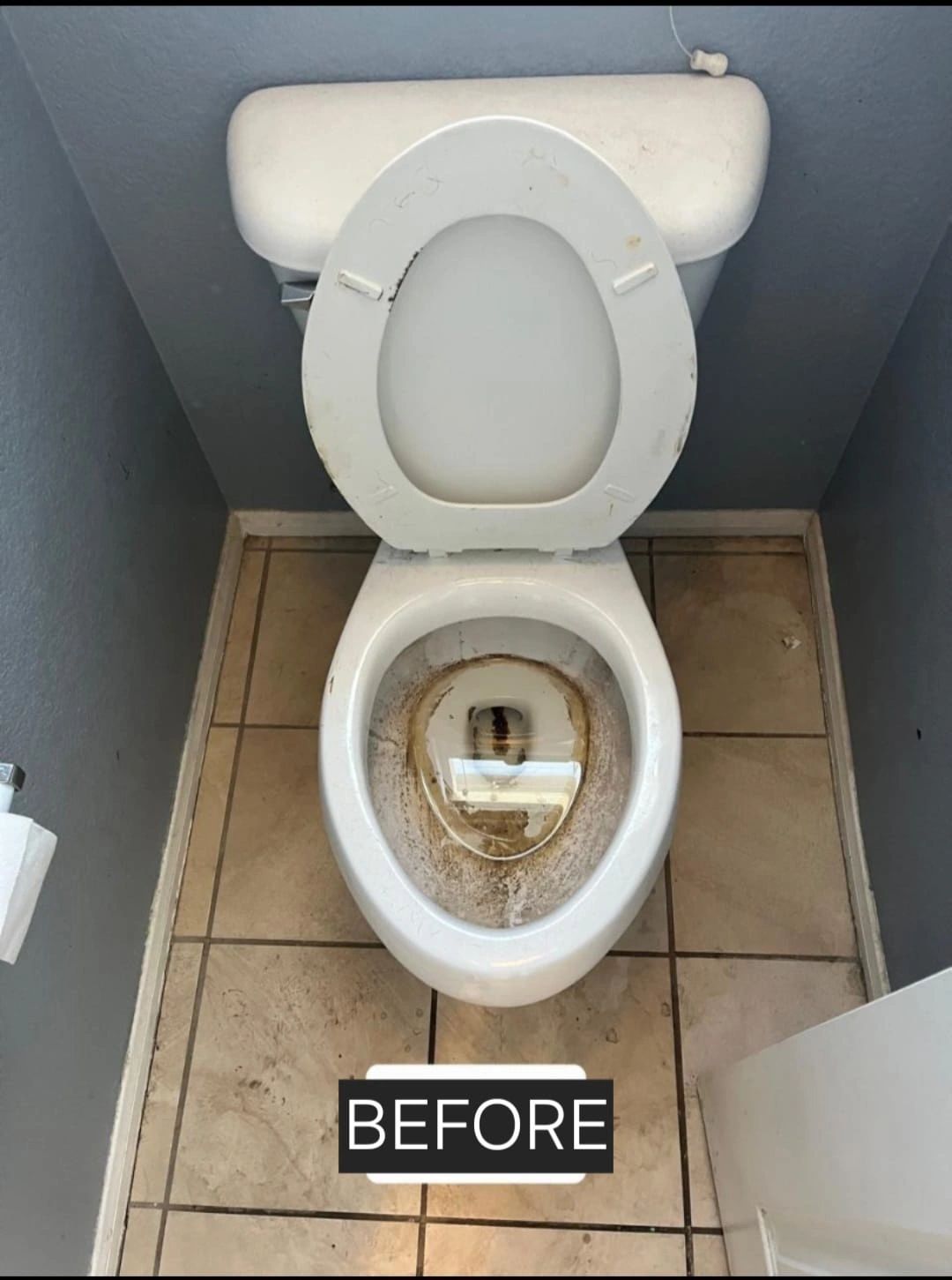 Trust me cleaners cleaning work in Temecula Valley 11